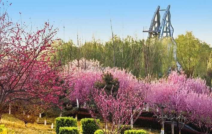 花紅柳綠是什么季節(jié)的詞語(yǔ)