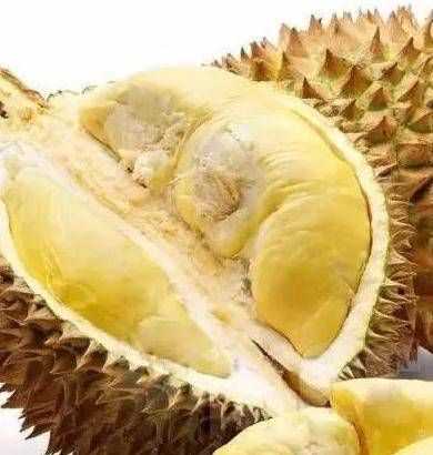 吃榴蓮完可以吃海鮮嗎?