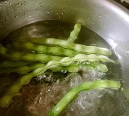 四季豆要煮多久才能熟?
