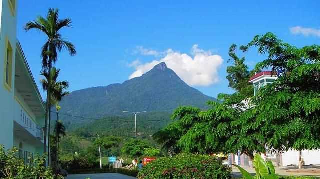 ?？谑侨齺唵?，?？诤腿齺喌木暥确謩e是多少？圖5