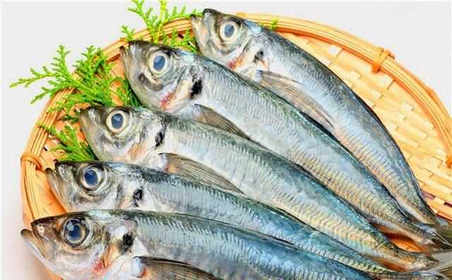 小動物是用什么來辨別氣味的