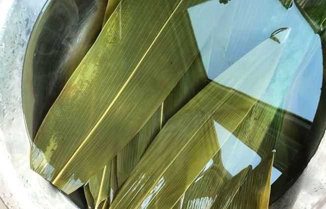 新鮮的粽葉要不要煮一下