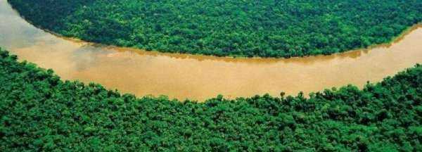 熱帶雨林有什么危險的東西,熱帶雨林有什么危險的東西?圖3