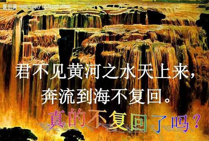 君不見黃河之水天上來的下一句是什么意思