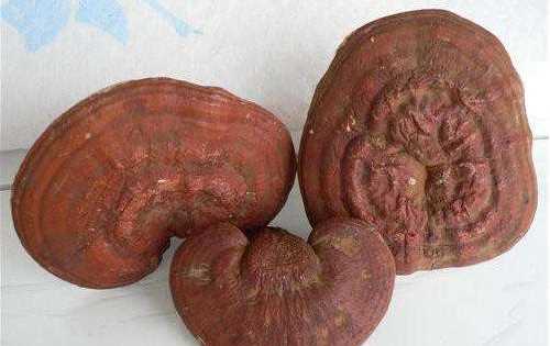 赤靈芝和紫靈芝有什么區(qū)別,黑靈芝赤靈芝紫靈芝它們的功效有什么區(qū)別圖1