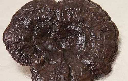 赤靈芝和紫靈芝有什么區(qū)別,黑靈芝赤靈芝紫靈芝它們的功效有什么區(qū)別圖2