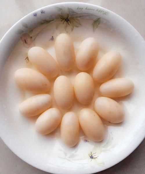 烏龜?shù)翱梢猿詥嵊惺裁礌I(yíng)養(yǎng)