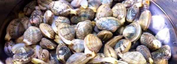 怎樣給花甲去屎,花甲如何快速去沙圖3