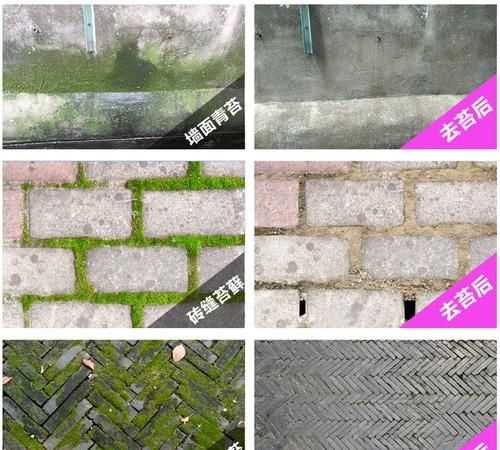 怎么清洗水泥地上的青苔