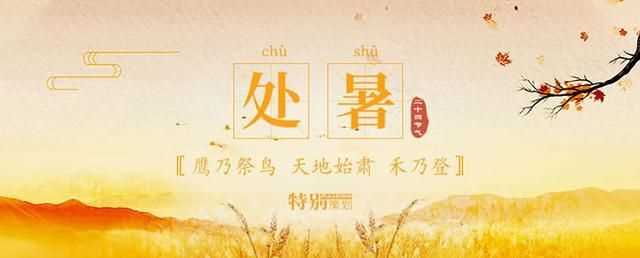 處暑的意思是什么