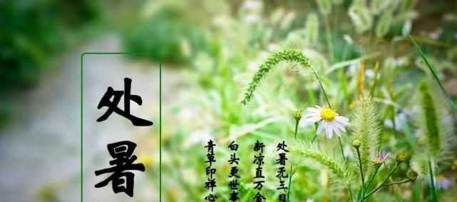 處暑的含義是什么意思