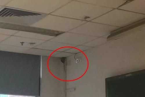 我的單位辦公室和宿舍棚上，里面有老鼠怎么辦，求助各位了