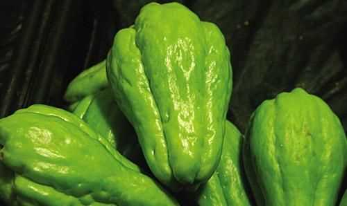 佛手瓜是白的還是青的好?