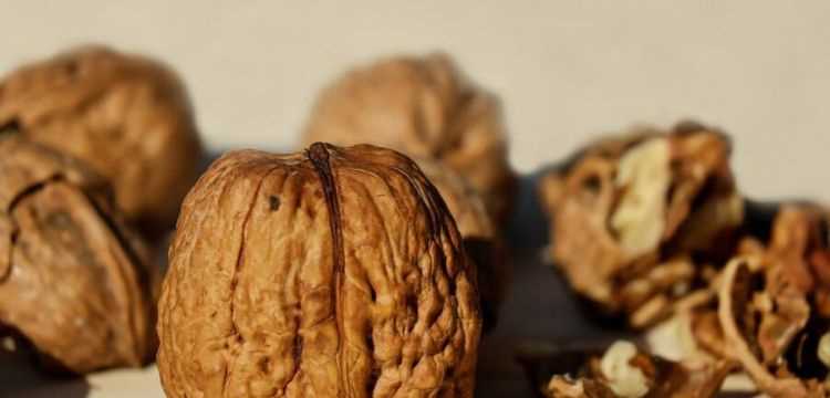 生的核桃肉能吃嗎