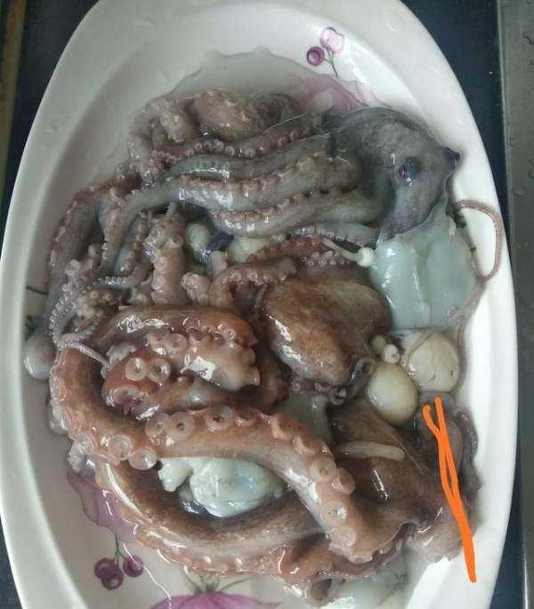 海鮮爆頭是什么東西,海邊有些漁民吃八爪魚動不動就是爆頭的圖5