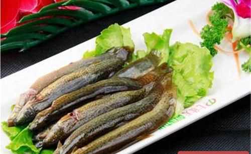 泥鰍死了一個小時左右已經(jīng)變硬了