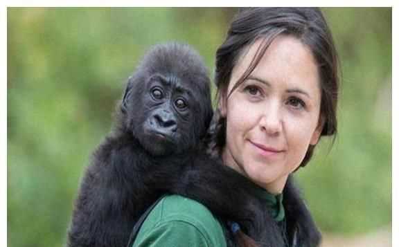 人類從動物身上得到了哪些啟發(fā)有什么發(fā)明的