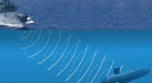 人們從哪種動物身上得到了啟示發(fā)明了什么,人們從什么動物身上得到了啟示發(fā)明了什么圖4