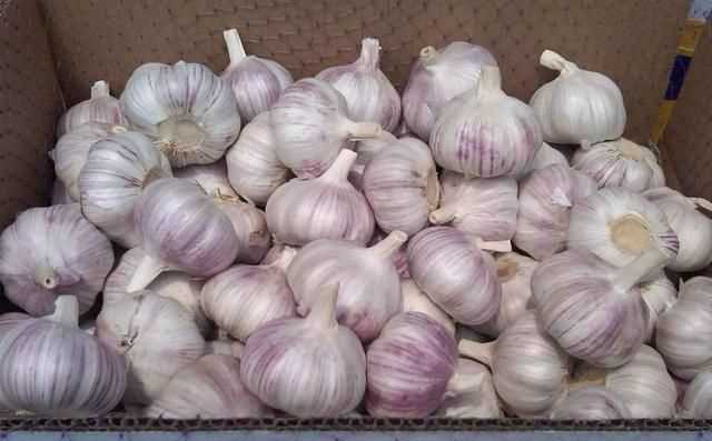 糖醋蒜為什么冒氣泡，用水封口玻璃罐腌制糖蒜兩天了，現(xiàn)在糖蒜出現(xiàn)冒氣泡現(xiàn)象，這是什么原因？圖3