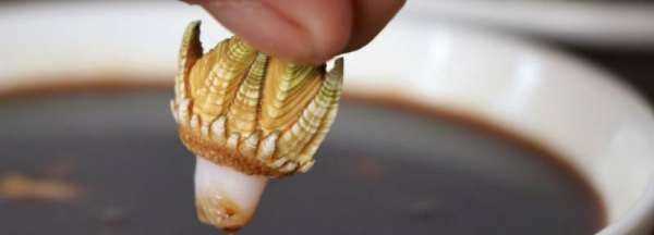 藤壺和佛手是一樣嗎,萬能的網(wǎng)友知道這是什么海鮮圖3