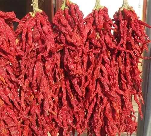 辣椒怎么曬干不變色，怎么曬干辣椒不變色？圖5