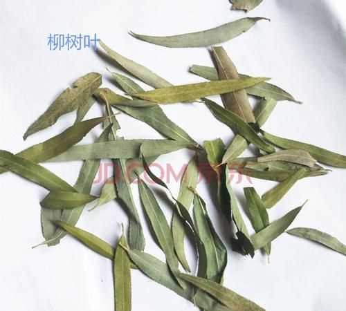 柳樹葉有毒嗎