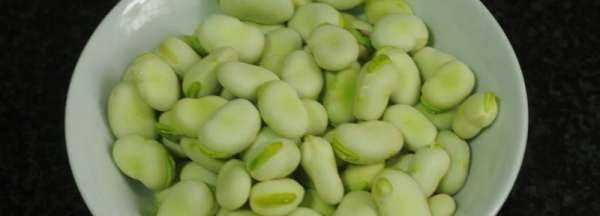 剝好的蠶豆怎么保存不變色,去殼蠶豆怎樣保存才能不變色圖2