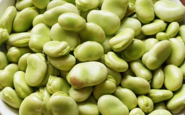 剝好的蠶豆怎么保存不變色,去殼蠶豆怎樣保存才能不變色圖4