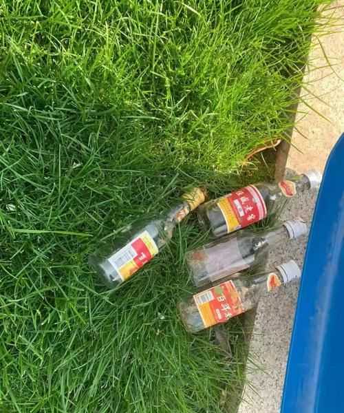 啤酒瓶屬于什么垃圾