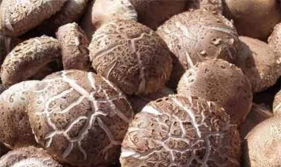 干香菇之類的過了保質(zhì)期還能吃嗎