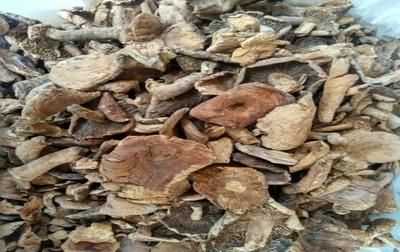 干香菇過期了能吃不