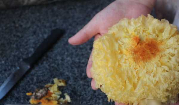 雪耳要浸泡多長(zhǎng)時(shí)間,銀耳熬之前要泡多長(zhǎng)時(shí)間圖5