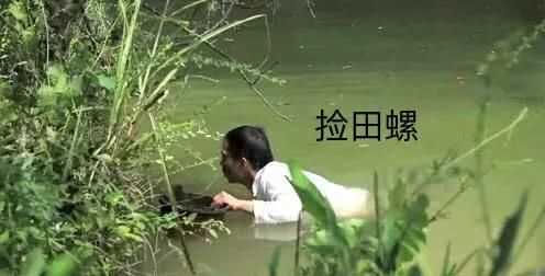 螺絲肉的功效與作用，螺絲肉怎么炒好吃？圖4