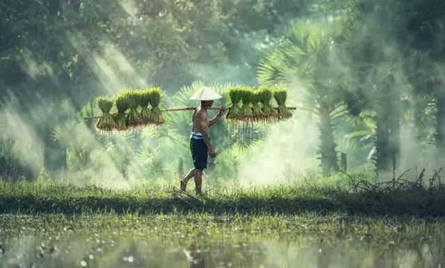 谷雨是下雨好還是不下雨好，農(nóng)村俗語(yǔ)：“雨水落雨三大碗，大河小河都要滿(mǎn)”，雨水下雨好不好？圖6