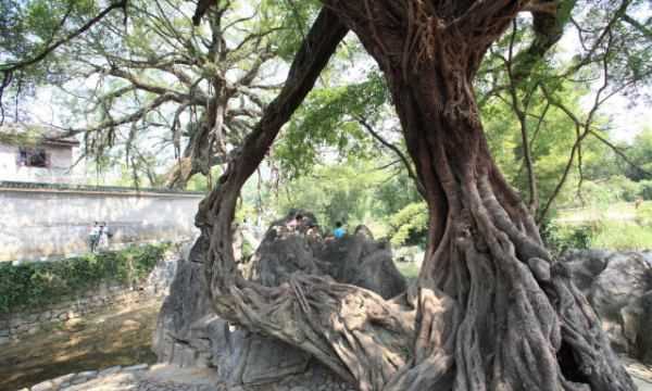 廣西黃姚古鎮(zhèn)在哪里,賀州到黃姚古鎮(zhèn)怎么坐車圖3