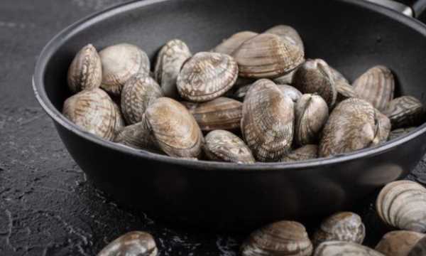 蛤蜊放鹽水里不張嘴,買回來的蛤蜊不張嘴怎么吐泥沙?圖2