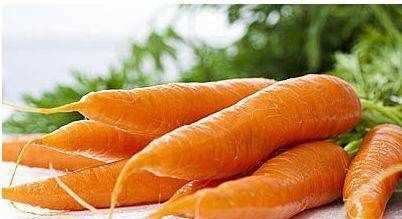 胡蘿卜泥的功效與作用,胡蘿卜泥的功效和作用圖3