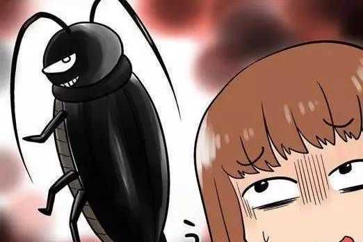 燈光會(huì)吸引會(huì)飛蟑螂,開燈睡覺會(huì)不會(huì)有蟑螂