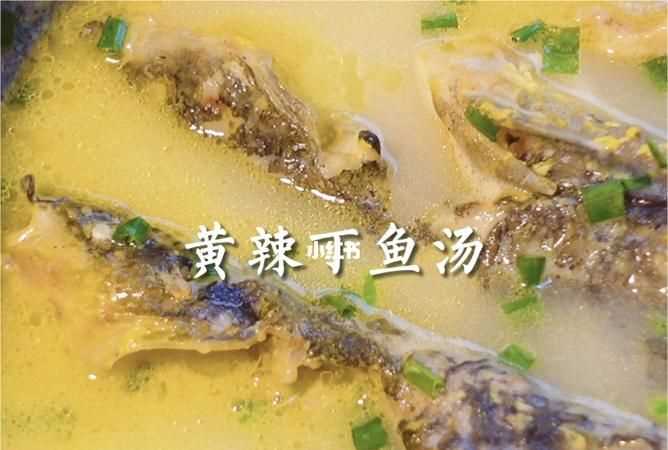 黃顙魚的功效與作用、禁忌和食用方法