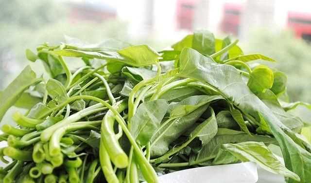 吃空心菜要注意什么，聽(tīng)人說(shuō)空心菜吃多了不好,為什么？圖1