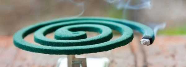 蚊香可以殺死跳蚤,用蚊香可以殺花卉蟲子嗎圖1