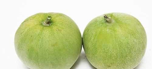 西瓜南瓜哈密瓜木瓜梨瓜哪個不同類