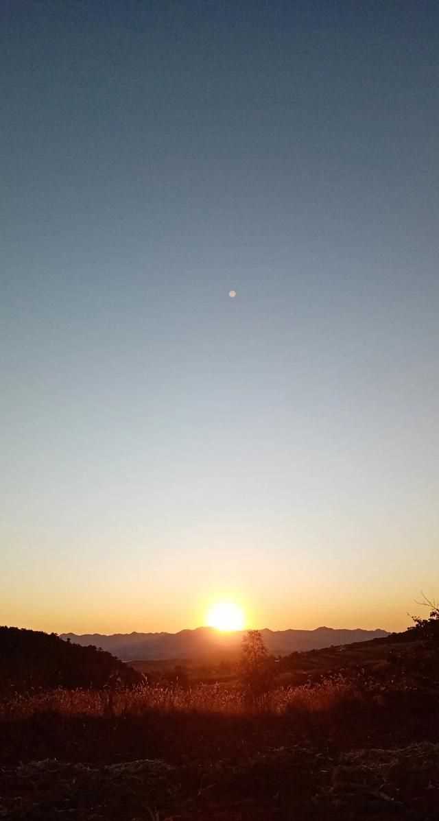 文化產(chǎn)品有哪些，黎族文化產(chǎn)品有哪些？圖4