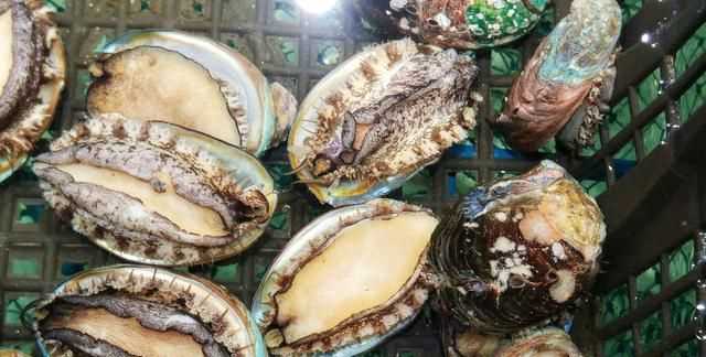 鮑魚要去內(nèi)臟嗎，鮑魚蒸地時(shí)候要去內(nèi)臟嗎？圖3