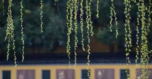 打春和立春有什么區(qū)別,立春和打春詞語哪個好一點圖2