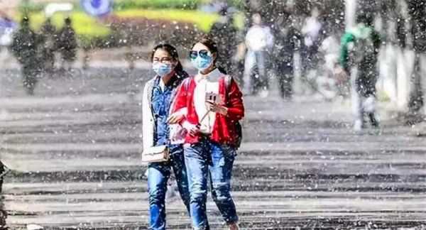 如何清理紗窗上的柳絮,紗窗的柳絮怎么清理圖4