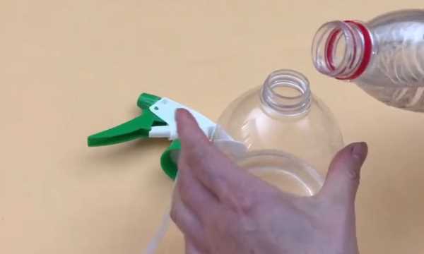 如何清理紗窗上的柳絮,紗窗的柳絮怎么清理圖11