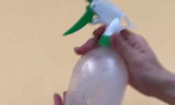 如何清理紗窗上的柳絮,紗窗的柳絮怎么清理圖12