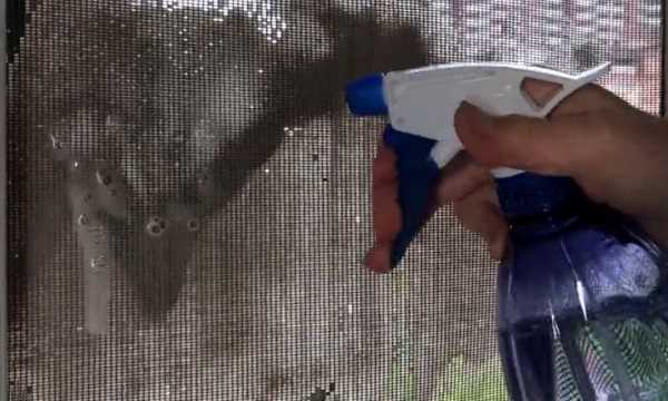 如何清理紗窗上的柳絮,紗窗的柳絮怎么清理圖14