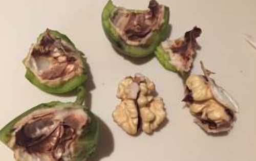 生核桃怎么做簡(jiǎn)單好吃,生核桃怎么吃圖3